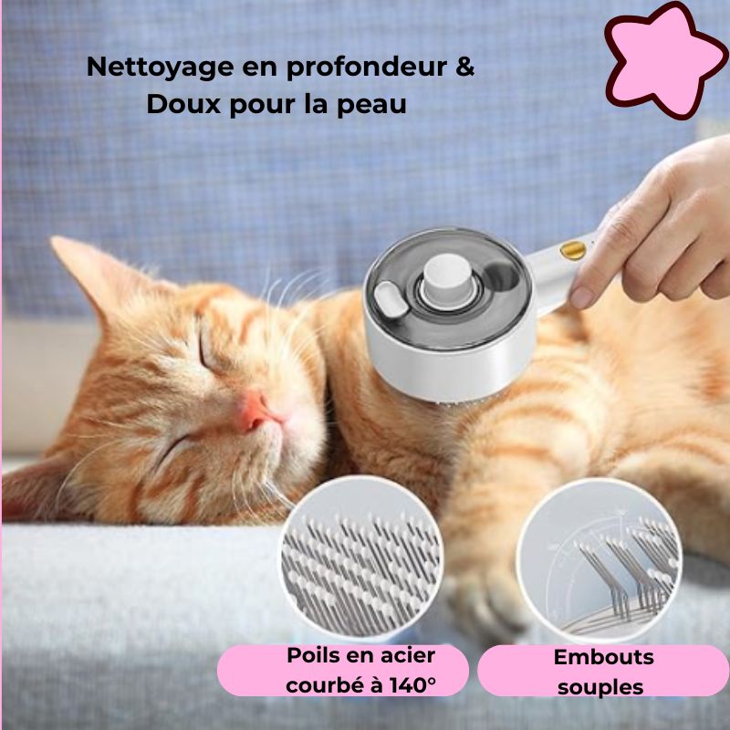 Démonstration chat roux avec la brosse à vapeur Cocoonpet Gris Perle