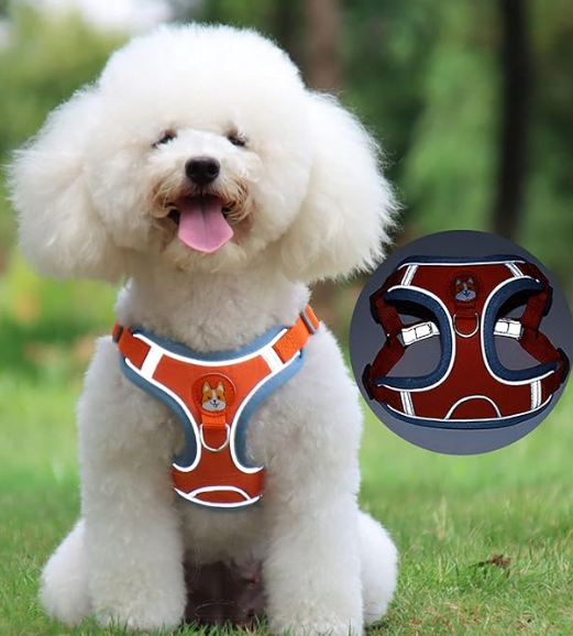 Harnais Réfléchissant CocoonPet™ – Ultra-Confort et Sécurité pour Chats & Petits Chiens Aventuriers