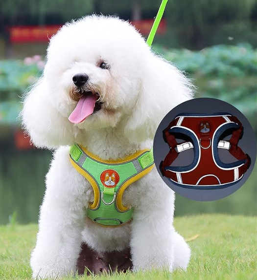 Harnais Réfléchissant CocoonPet™ – Ultra-Confort et Sécurité pour Chats & Petits Chiens Aventuriers