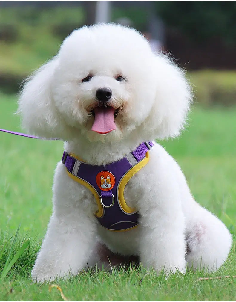 Le-Harnais-Réfléchissant-CocoonPet-confort-sécurité-et-style-pour-votre-compagnon Cocoon Pet