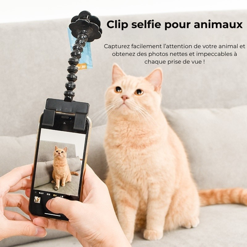 Clip Selfie CocoonPet™ – Des photos parfaites de votre compagnon