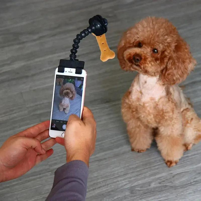 Clip Selfie CocoonPet™ – Des photos parfaites de votre compagnon