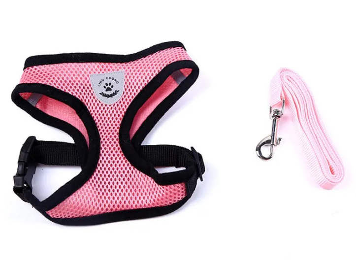 Harnais CocoonPet™ – Promenades Sécurisées de Jour & de Nuit