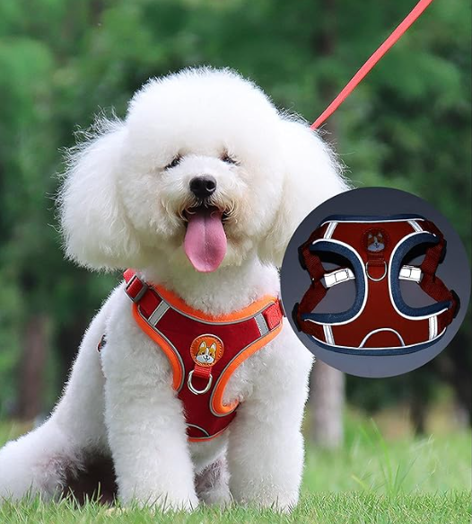 Harnais Réfléchissant CocoonPet™ – Ultra-Confort et Sécurité pour Chats & Petits Chiens Aventuriers