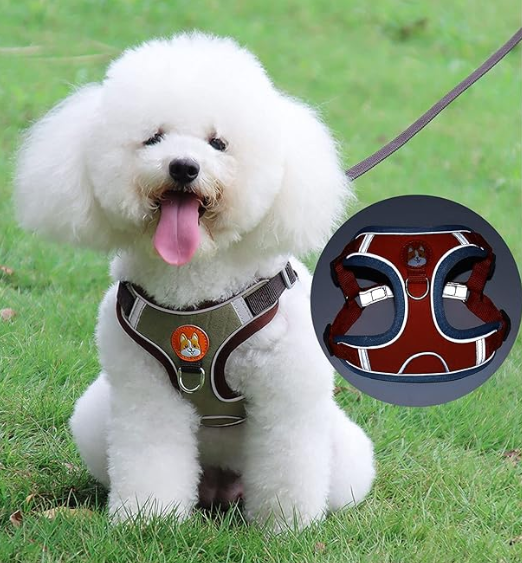 Harnais Réfléchissant CocoonPet™ – Ultra-Confort et Sécurité pour Chats & Petits Chiens Aventuriers