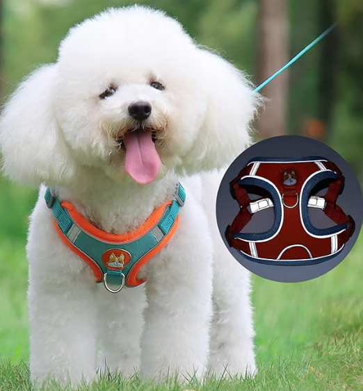 Harnais Réfléchissant CocoonPet™ – Ultra-Confort et Sécurité pour Chats & Petits Chiens Aventuriers