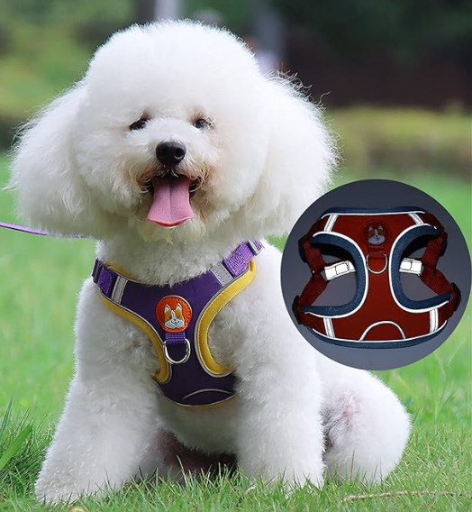 Harnais Réfléchissant CocoonPet™ – Ultra-Confort et Sécurité pour Chats & Petits Chiens Aventuriers