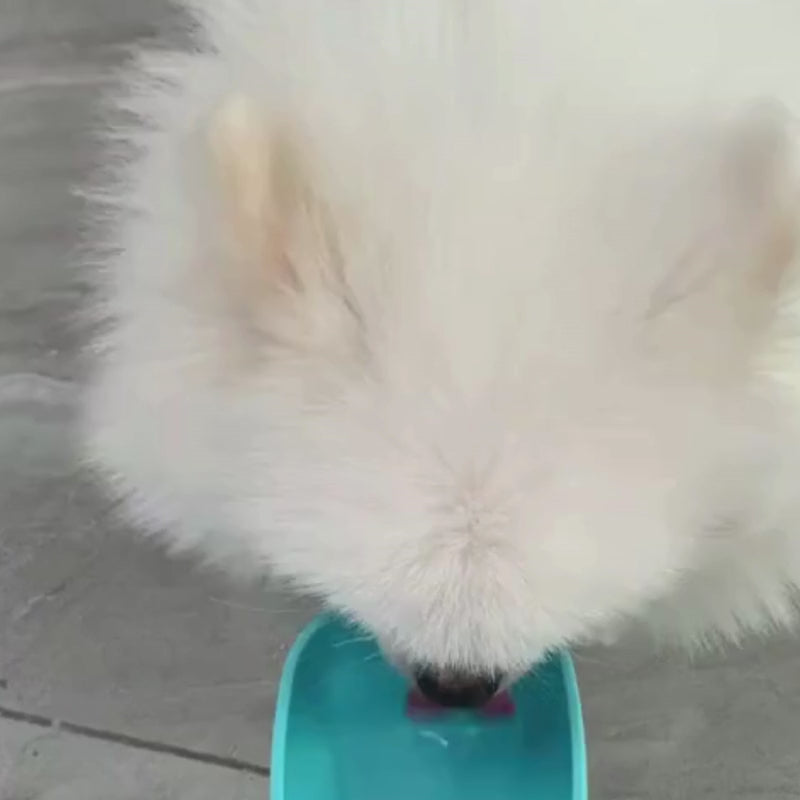 Distributeur  d'eau et de croquette portable